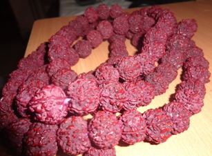 Rudrakshi